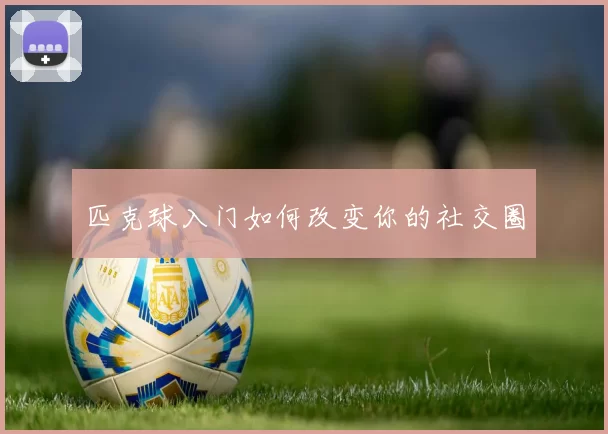 匹克球入门如何改变你的社交圈