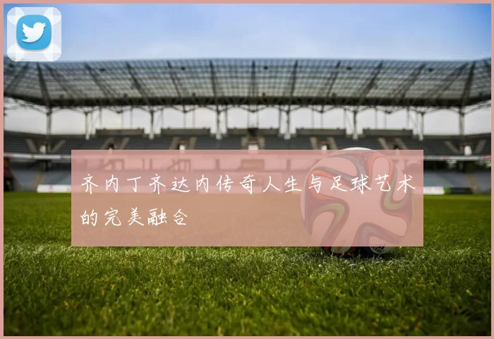 齐内丁齐达内传奇人生与足球艺术的完美融合